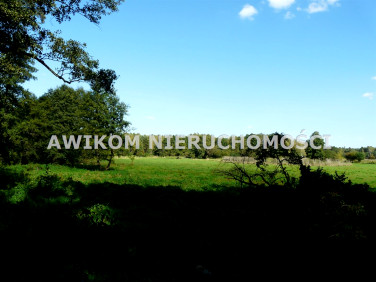 Działka rekreacyjna Ziemiary