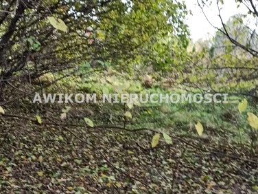 Działka budowlana Budy-Grzybek