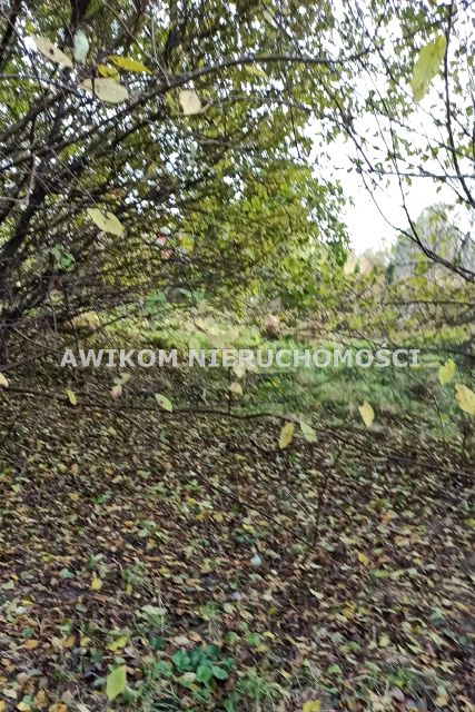 Działka budowlana Budy-Grzybek