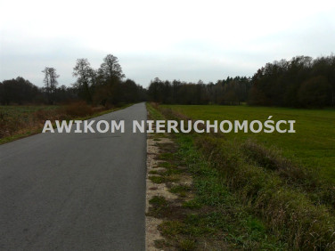 Działka rolna Stara Rawa