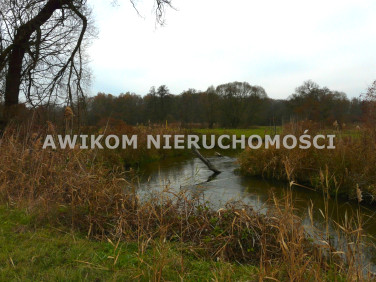 Działka rolna Doleck