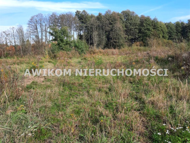 Działka rekreacyjna Szczęsne