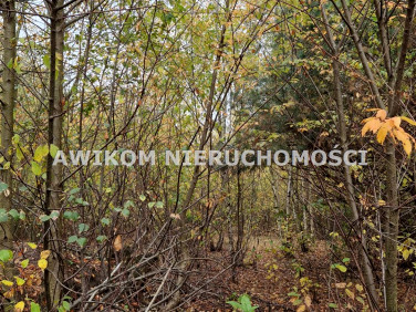 Działka budowlana Chylice