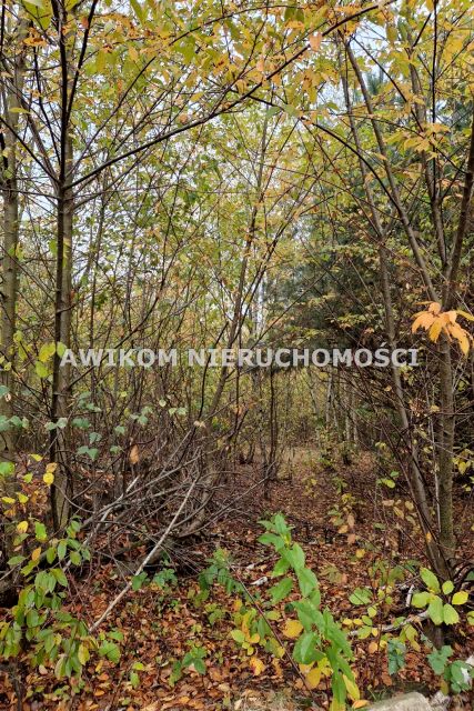 Działka budowlana Chylice