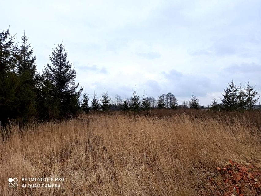 Działka inwestycyjna Poznań