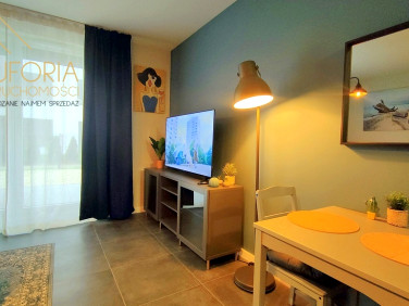 Mieszkanie Łódź wynajem