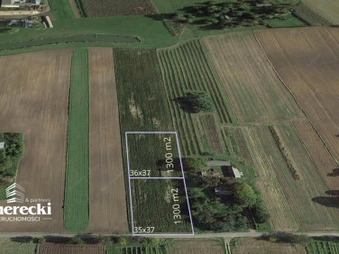 Działka Czesławice