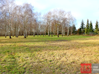 Działka usługowa Warszawa