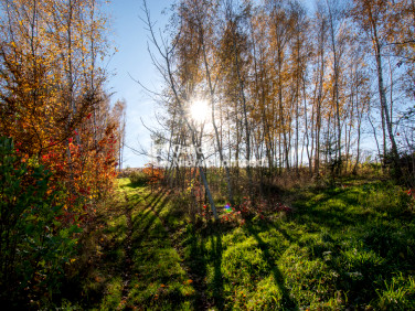 Działka budowlana Błędowa Tyczyńska