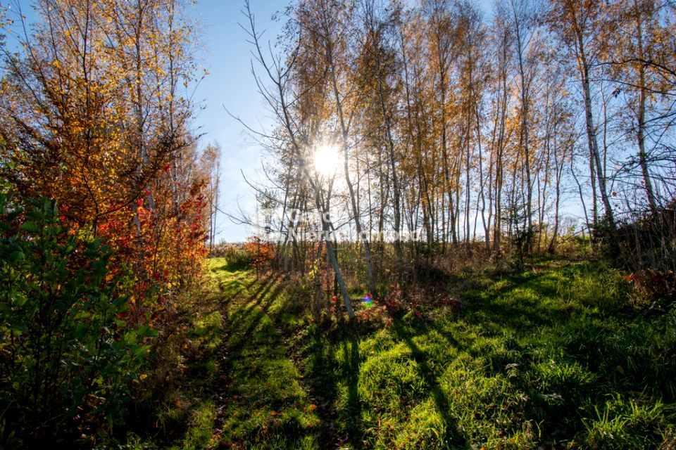 Działka budowlana Błędowa Tyczyńska