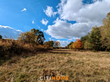 Działka siedliskowa Czarnowiec