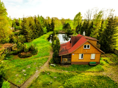 Działka siedliskowa Pupki