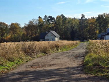 Działka Brynek