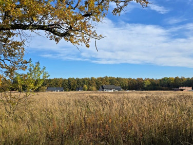 Pusta działka Brynek