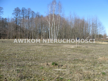 Działka budowlana Władków