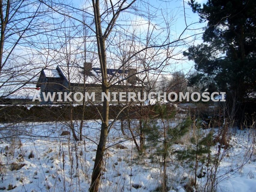 Zdjęcie 3