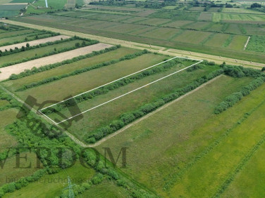 Działka Gnieżdżewo