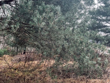 Działka budowlano-rolna Józefów