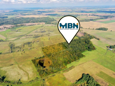 Działka leśna Kolwiny