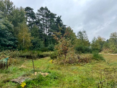 Działka budowlana Orzesze