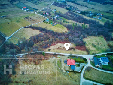 Działka Trzetrzewina