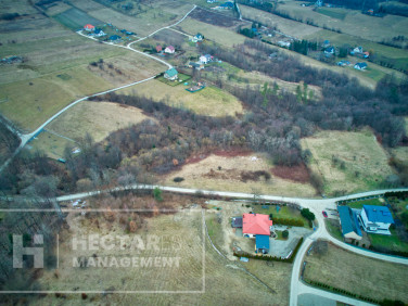 Działka Trzetrzewina