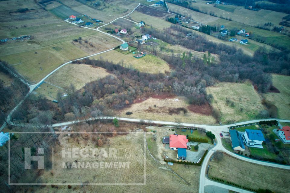 Działka Trzetrzewina