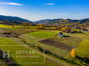 Działka budowlana Królowa Górna