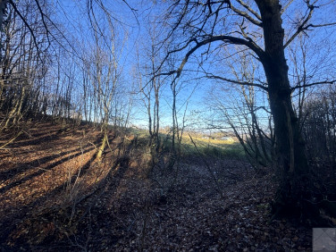 Działka leśna Przemyśl