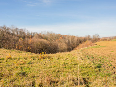 Działka rolna Kowalowa