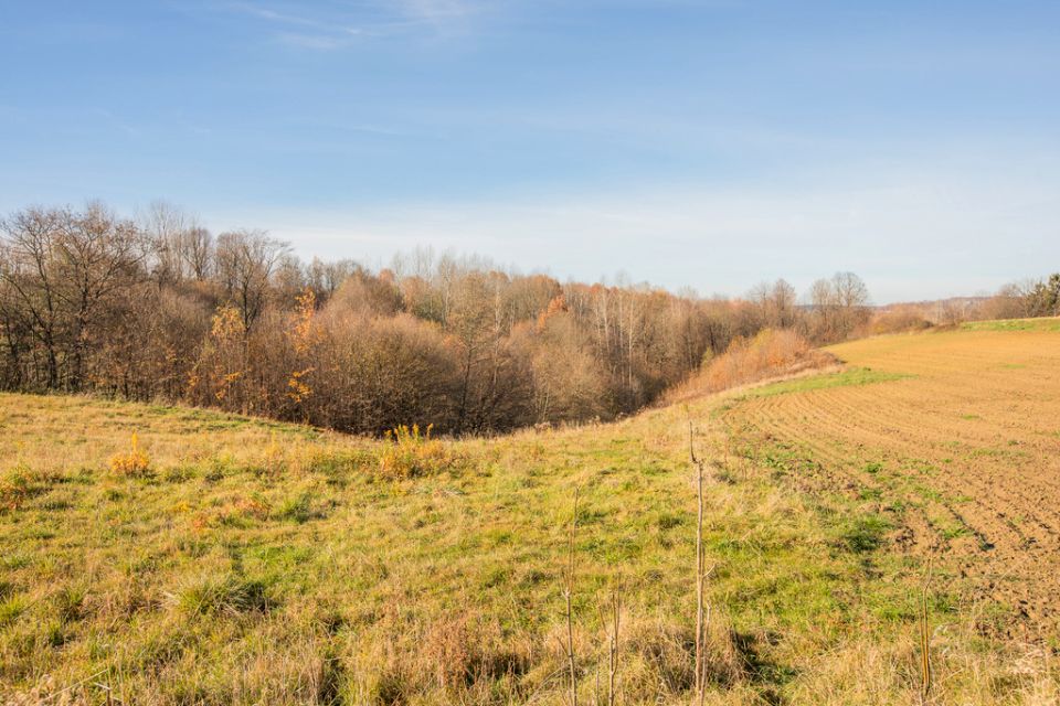 Działka rolna Kowalowa