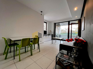 Mieszkanie apartamentowiec wynajem