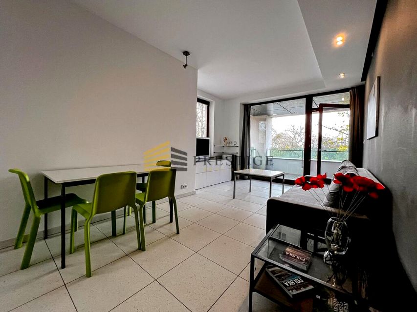 Mieszkanie apartamentowiec wynajem