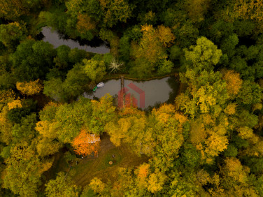 Działka leśna Bonarówka