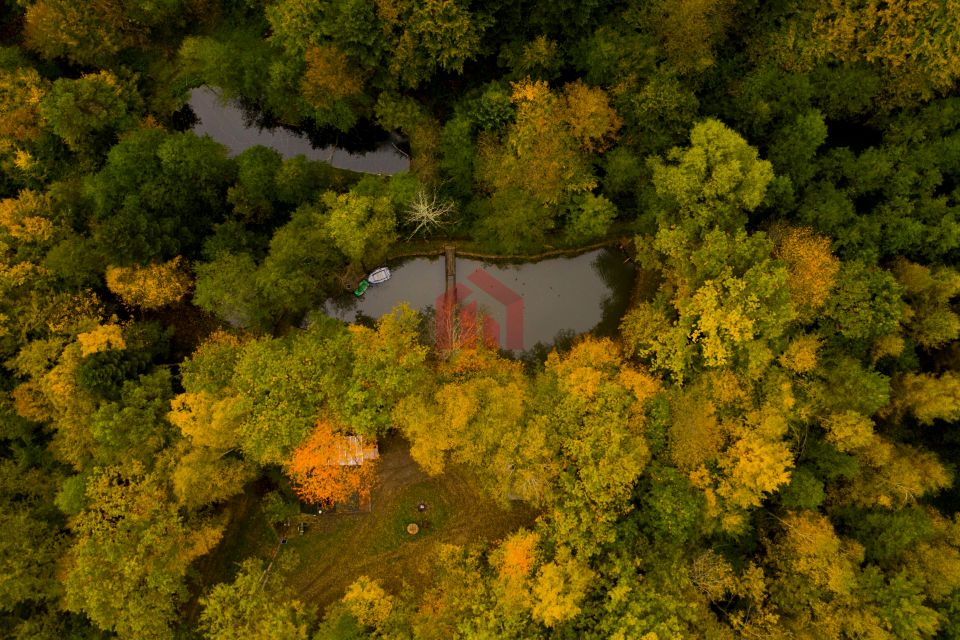 Działka leśna Bonarówka