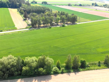 Działka budowlana Nowolesie