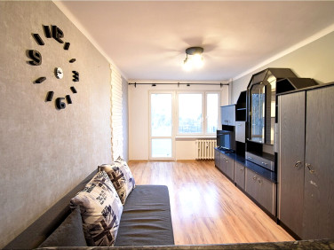 Mieszkanie Gorzów Wielkopolski wynajem