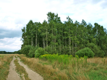 Działka budowlana Urzuty