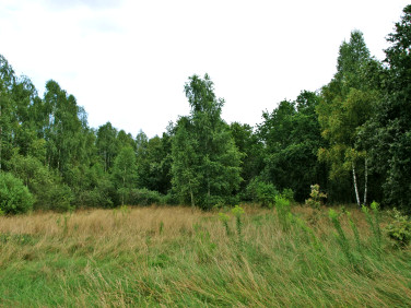 Działka budowlana Urzuty