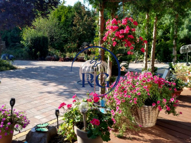 Dom wolnostojący sprzedaż