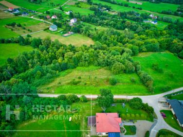 Działka Trzetrzewina