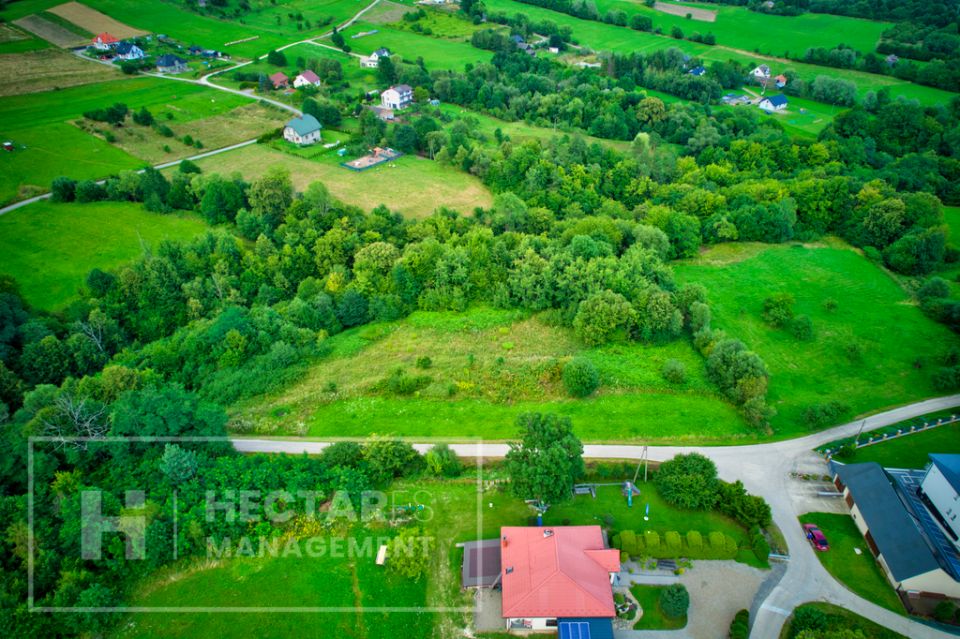 Działka Trzetrzewina