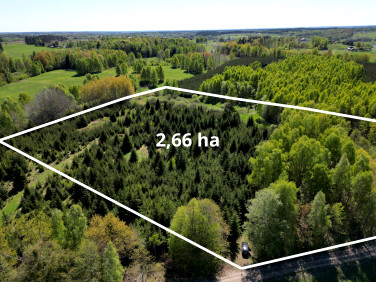 Działka rolno-leśna Kabikiejmy