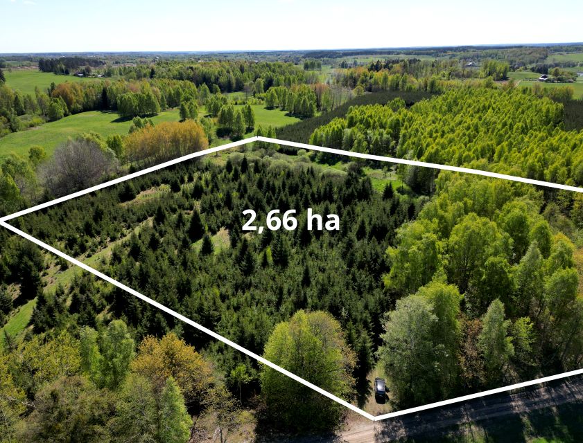 Działka rolno-leśna Kabikiejmy