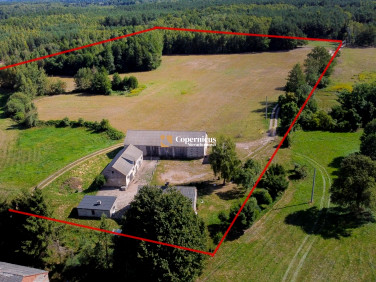 Działka siedliskowa Skępe