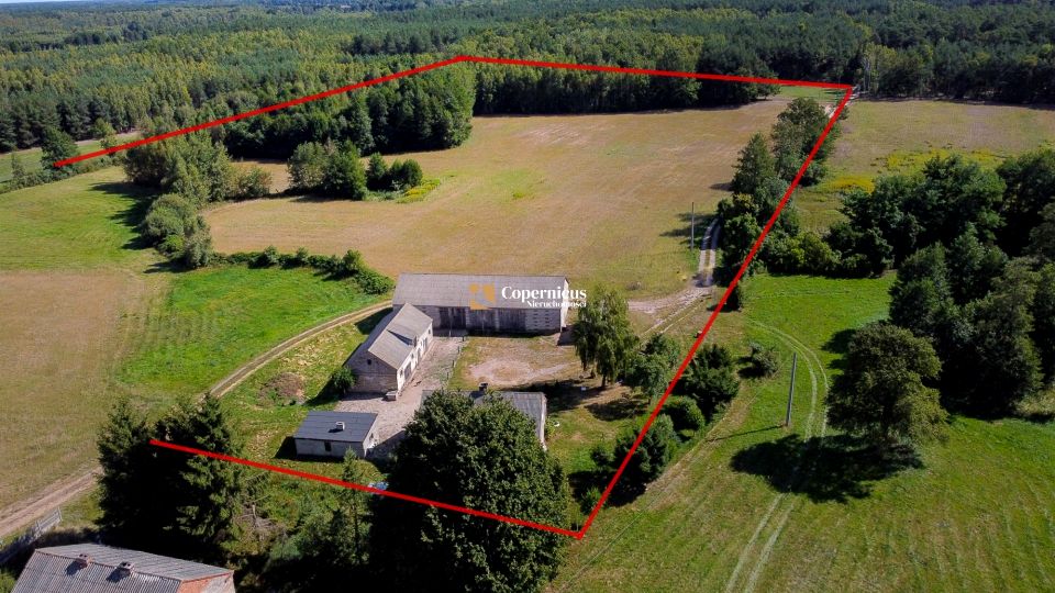 Działka siedliskowa Skępe