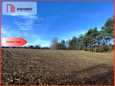 Działka rolna Dąbrowa