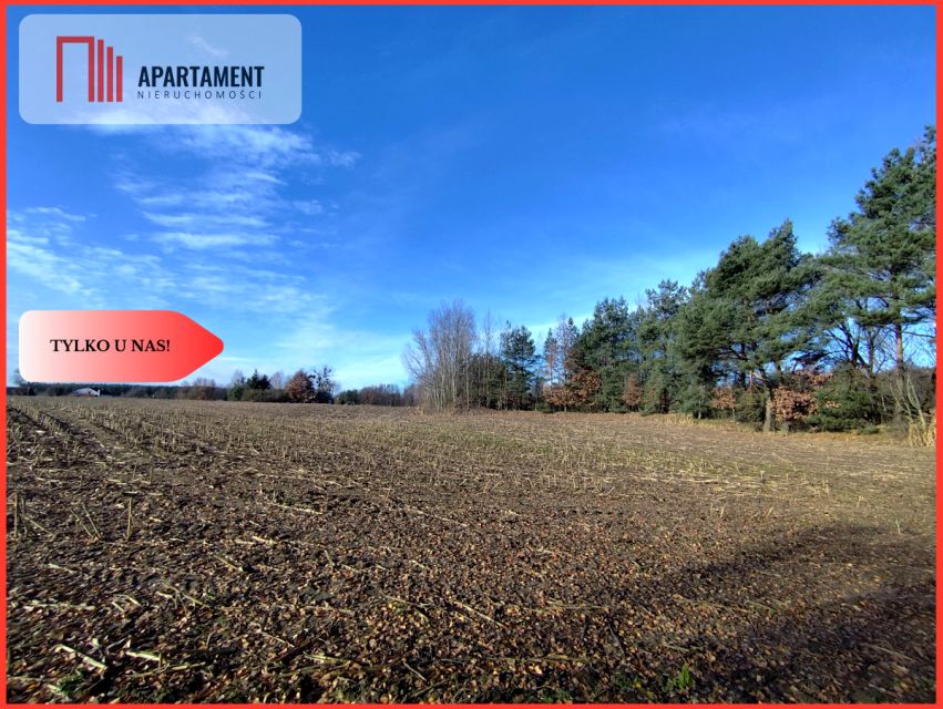 Działka rolna Dąbrowa