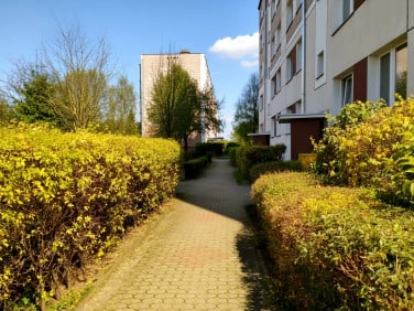 Mieszkanie blok mieszkalny Ełk