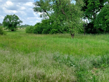 Działka budowlano-rolna Gorzów